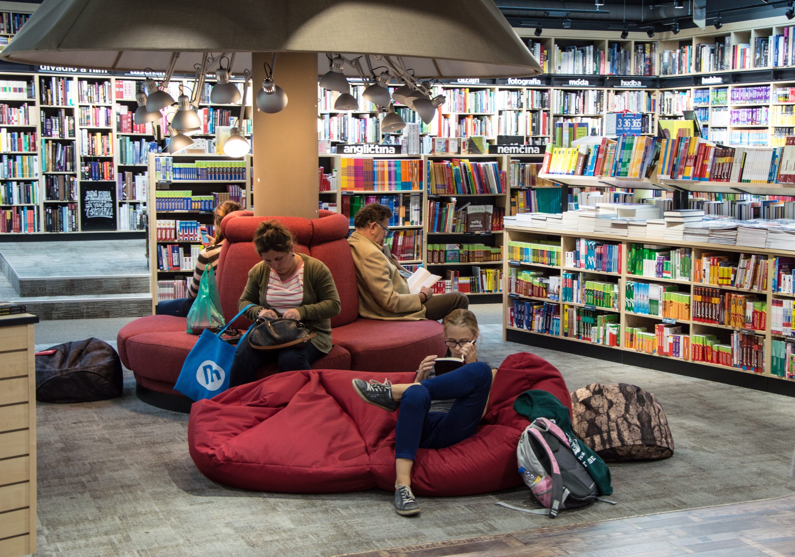 Hoy es el Día del Lector, conoce por qué se celebra y cuántas otras fechas hay para celebrar a los lectores, a los libros, a las letras.