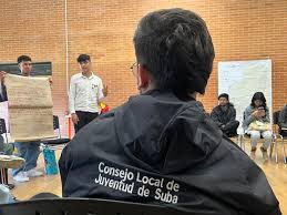Consejos Locales de la Juventud
