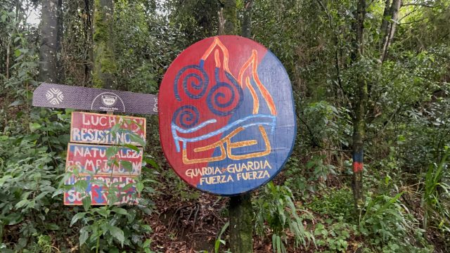 Blanca Nieves Muisca