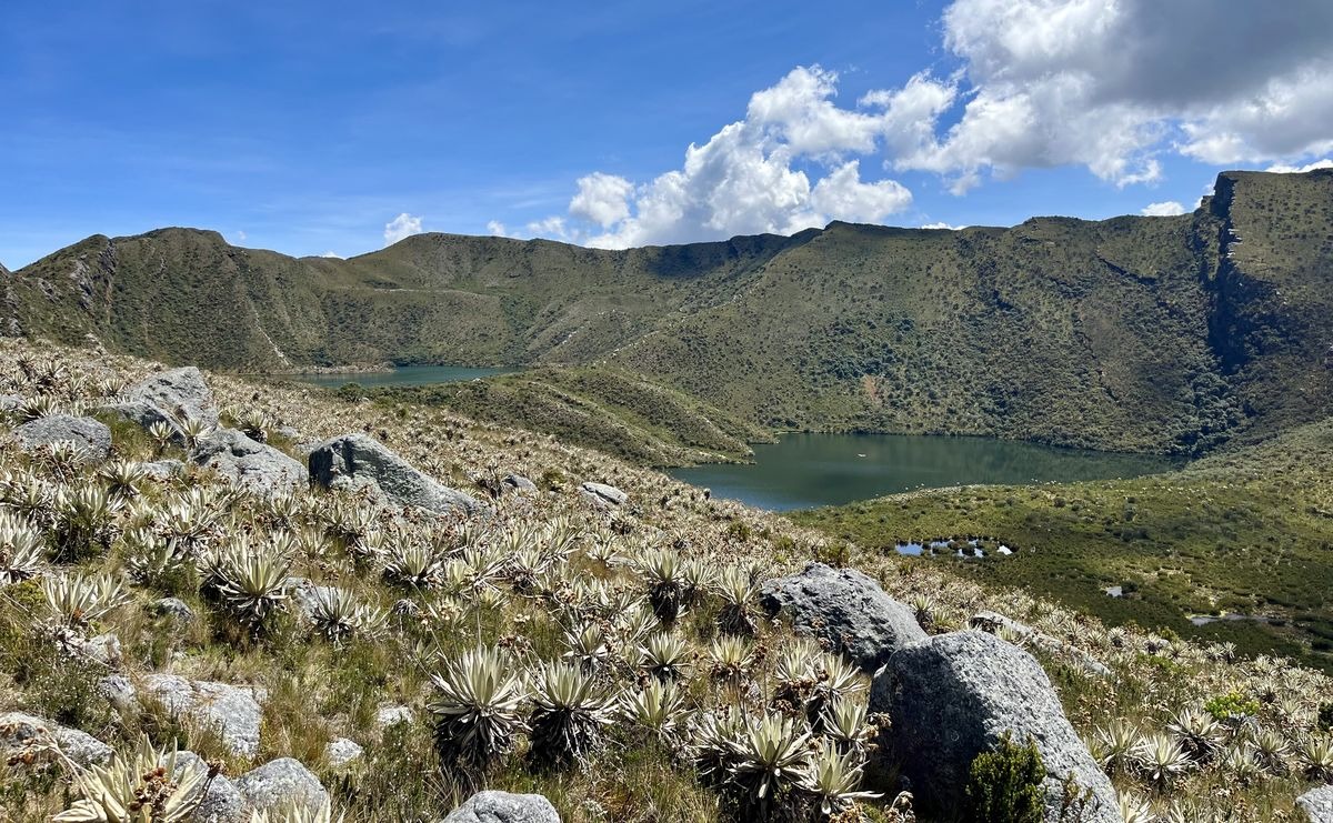 Chingaza camina por el cuidado del medio ambiente