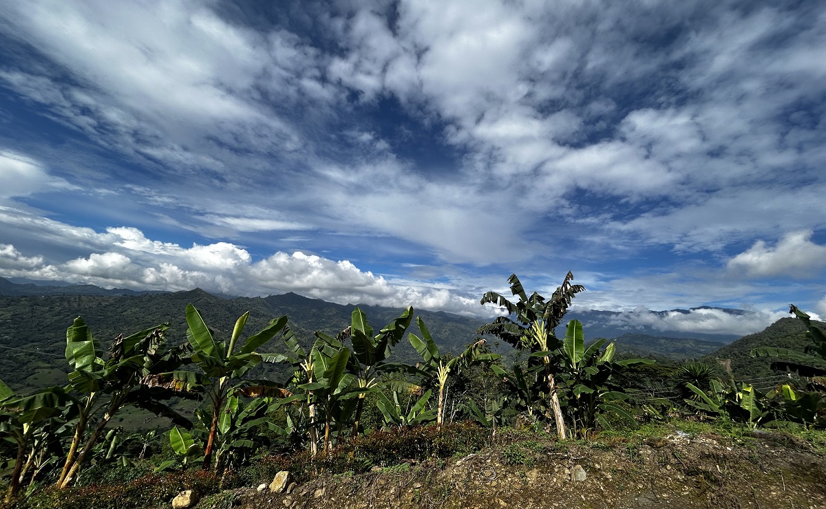 Vergara la vida de campo que inspira y transforma la ciudad
